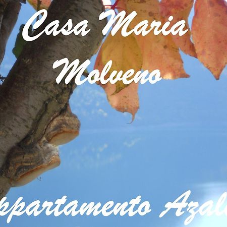Casa Maria Apartment Molveno Room photo