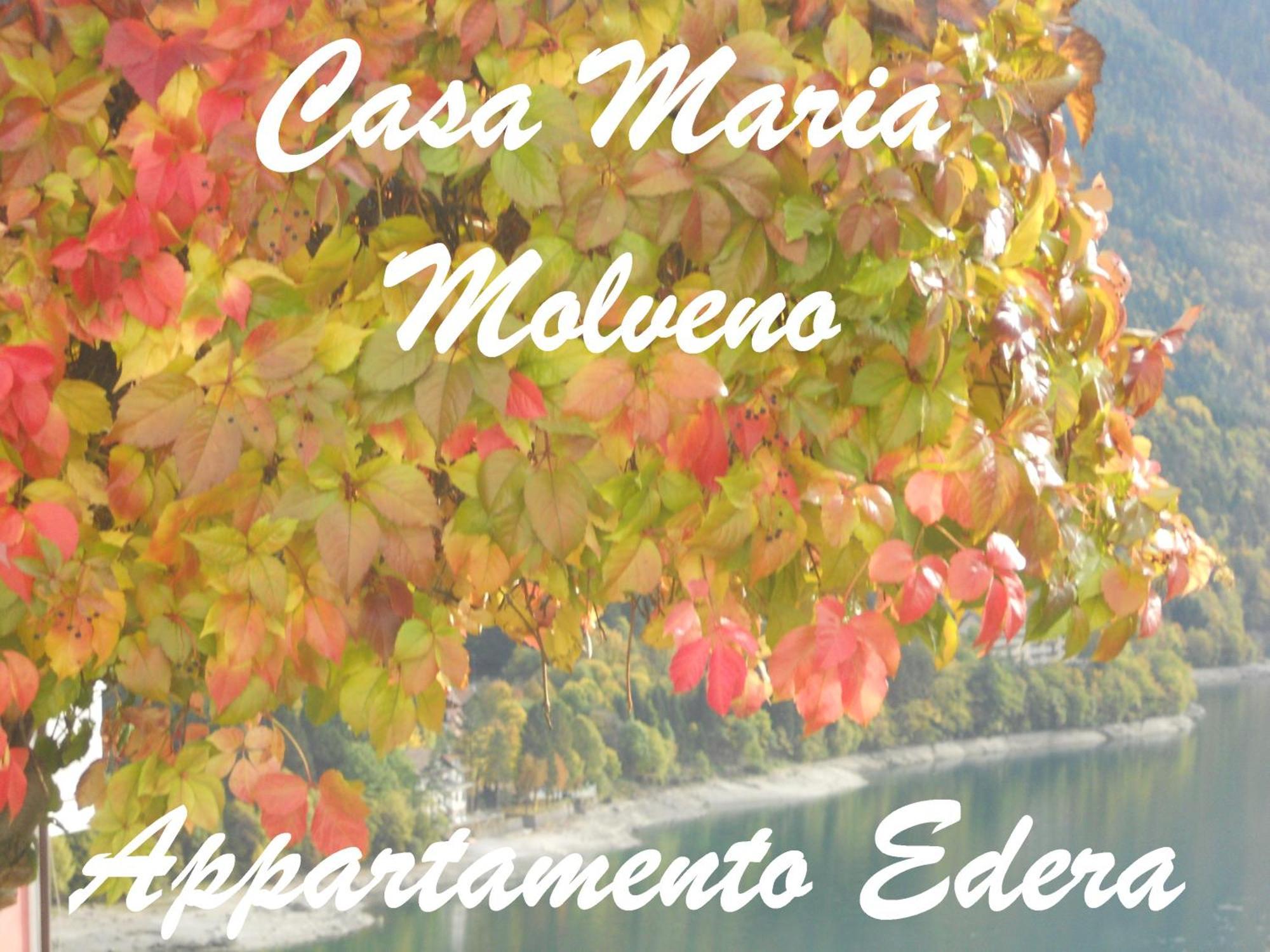Casa Maria Apartment Molveno Room photo